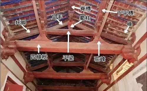 圖解建筑材料 從煙草的意外應用看傳統(tǒng)材料的創(chuàng)新潛力